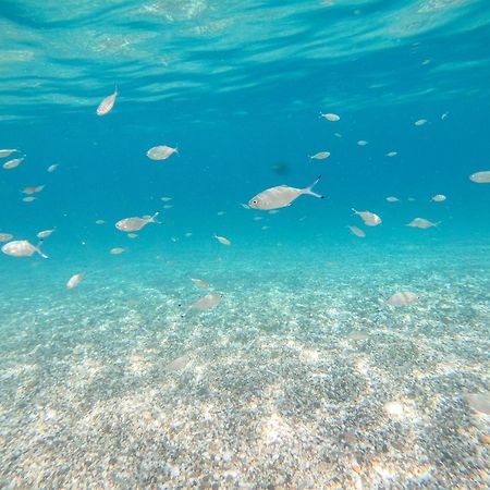 Complejo Turistico Los Bayiyos Agua Amarga  Exterior foto